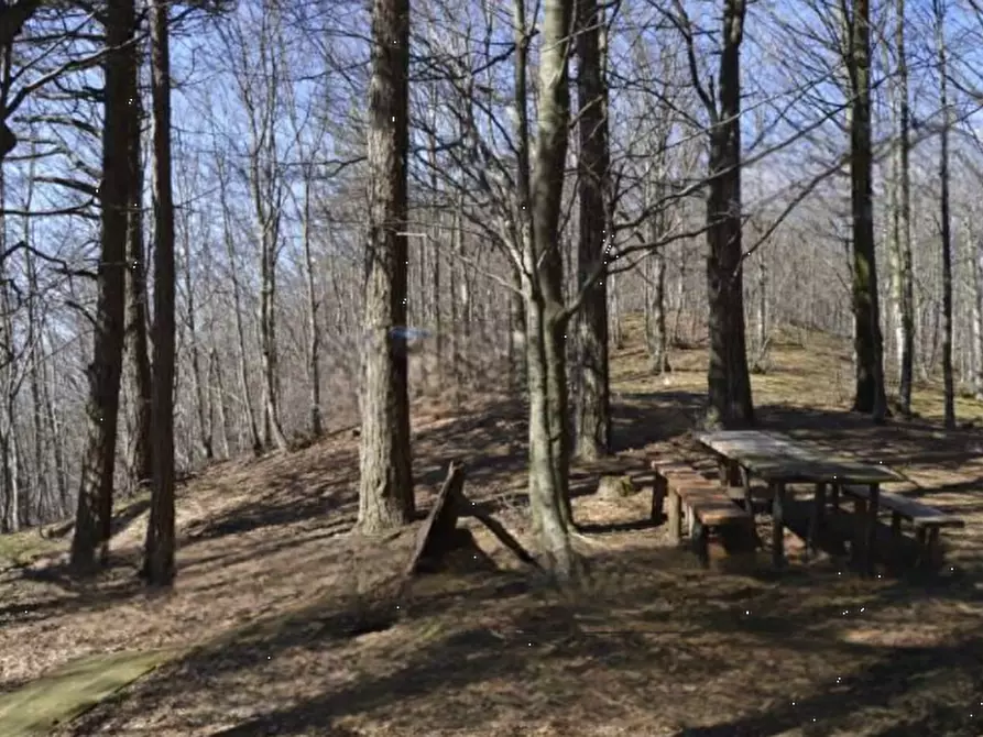 terreno agricolo in vendita a Montale