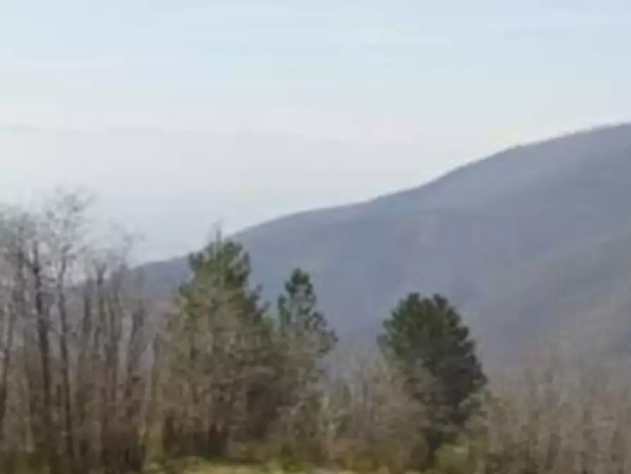 terreno agricolo in vendita a Montale