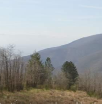 terreno agricolo in vendita a Montale