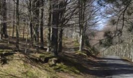 terreno agricolo in vendita a Montale