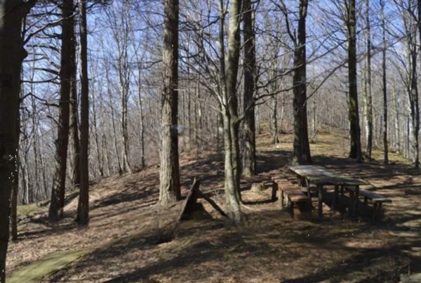 terreno agricolo in vendita a Montale