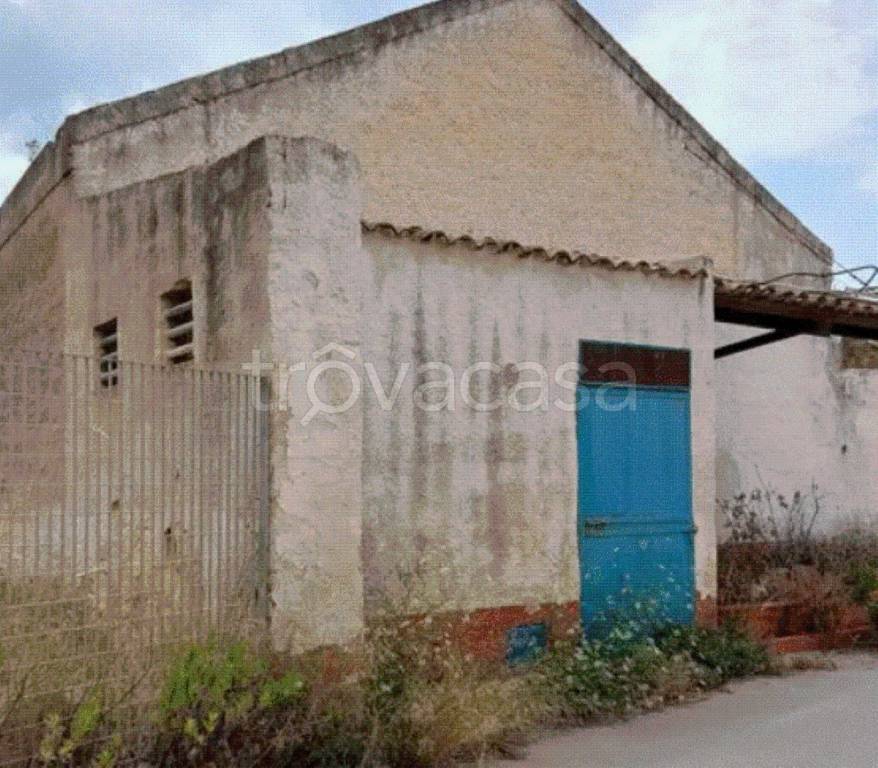 terreno agricolo in vendita a Montale