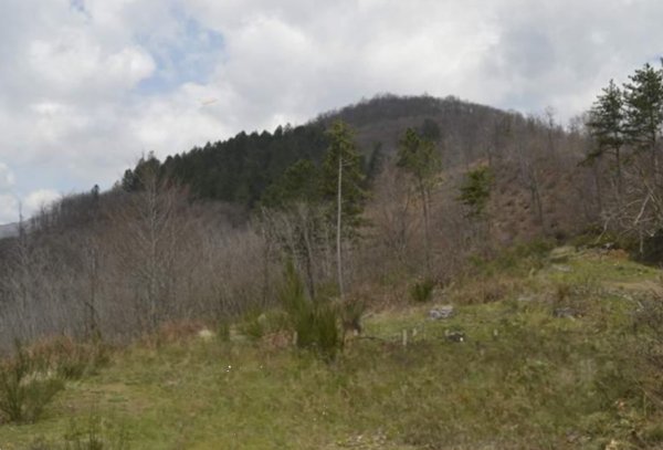 terreno agricolo in vendita a Montale