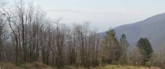 terreno agricolo in vendita a Montale