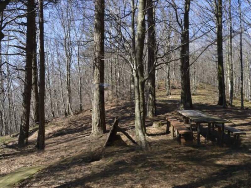 terreno agricolo in vendita a Montale