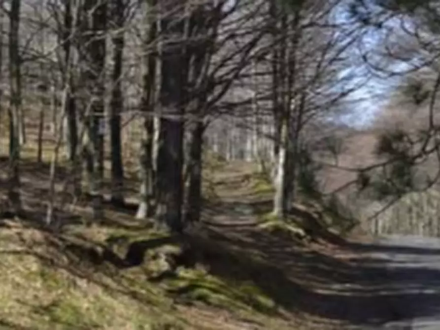 terreno agricolo in vendita a Montale