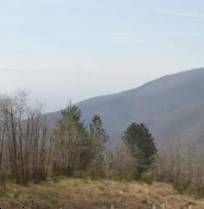 terreno agricolo in vendita a Montale