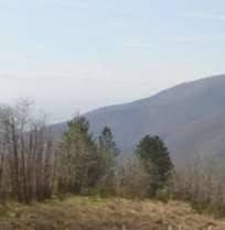 appartamento in vendita a Montale