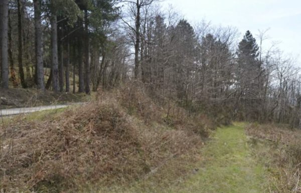 terreno agricolo in vendita a Montale