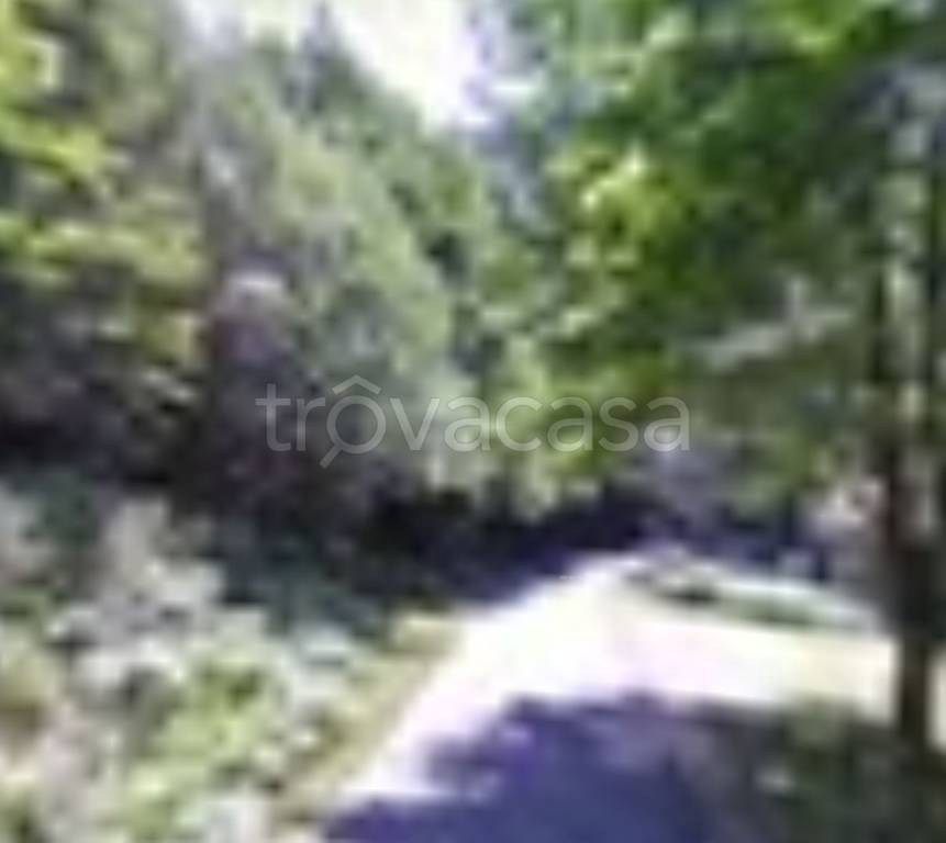 terreno agricolo in vendita a Montale