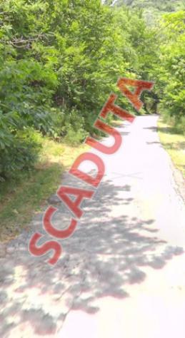 casale in vendita a Montale