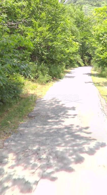 casale in vendita a Montale