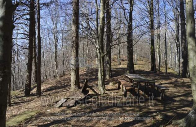 terreno agricolo in vendita a Montale