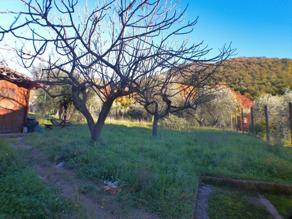casa indipendente in vendita a Montale in zona Fognano