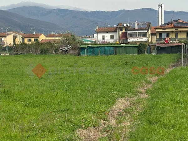 terreno agricolo in vendita a Montale