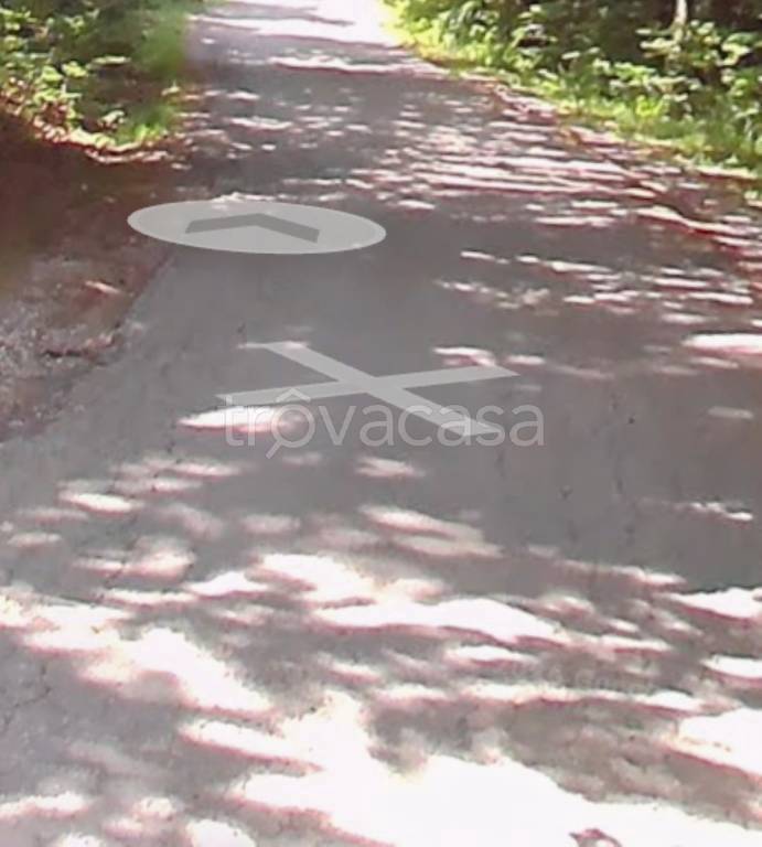 terreno agricolo in vendita a Montale