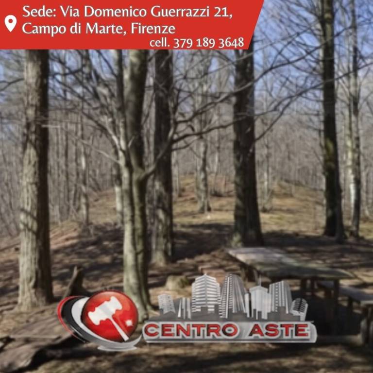 casa indipendente in vendita a Montale