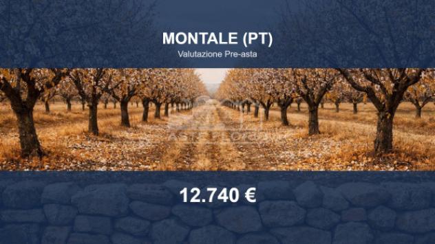 terreno agricolo in vendita a Montale