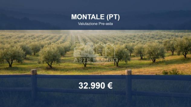 terreno agricolo in vendita a Montale