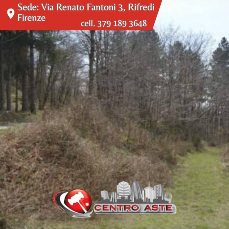 terreno agricolo in vendita a Montale