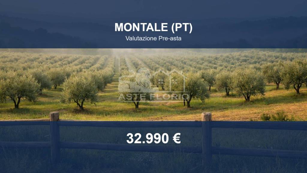 terreno agricolo in vendita a Montale in zona Tobbiana