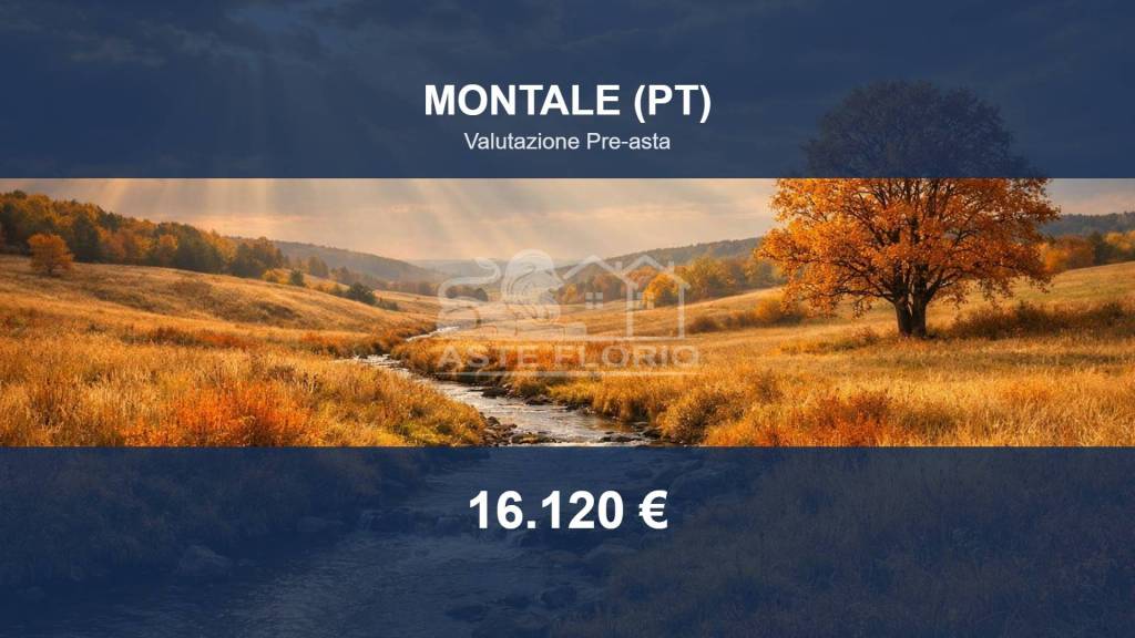 terreno agricolo in vendita a Montale in zona Tobbiana