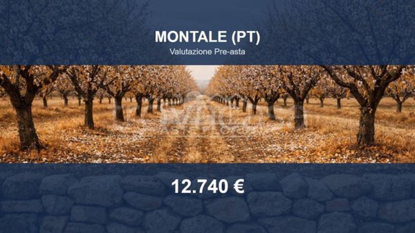 terreno agricolo in vendita a Montale in zona Fognano