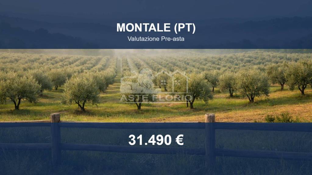 terreno agricolo in vendita a Montale