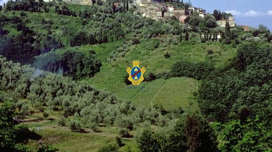 negozio in vendita a Montecatini-Terme