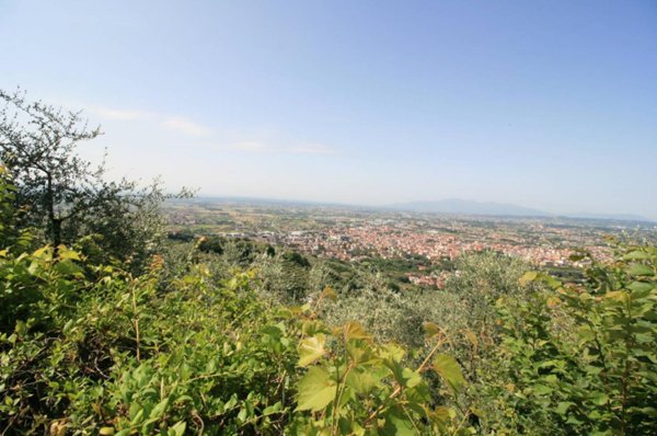 terreno agricolo in vendita a Montecatini-Terme