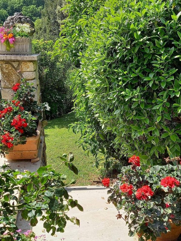 casa indipendente in vendita a Montecatini-Terme in zona Nievole