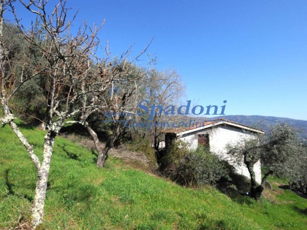 casa indipendente in vendita a Montecatini-Terme in zona Vico