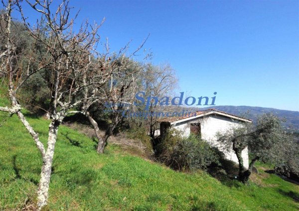 casa indipendente in vendita a Montecatini-Terme in zona Vico