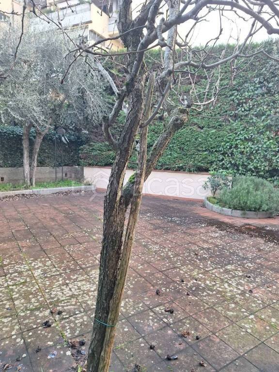 casa indipendente in vendita a Montecatini-Terme in zona Vico