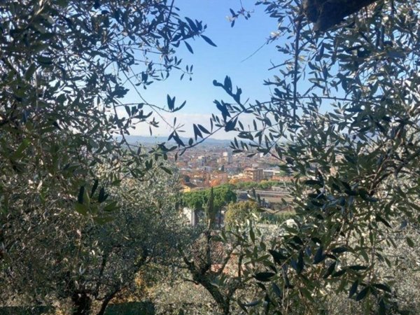 terreno agricolo in vendita a Montecatini-Terme in zona Nievole