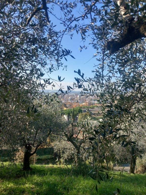 terreno agricolo in vendita a Montecatini-Terme in zona Nievole