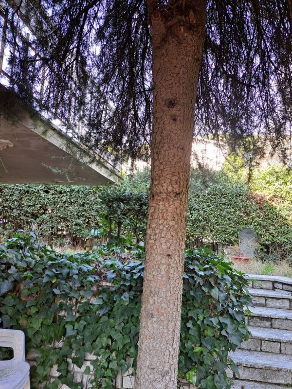 casa indipendente in vendita a Montecatini-Terme in zona Vico