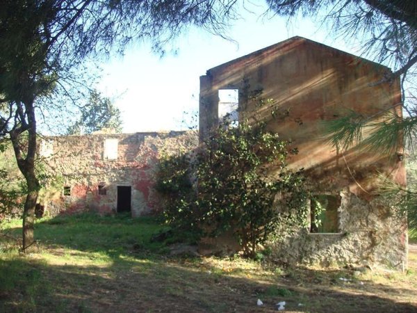 esavano in vendita a Montecatini-Terme