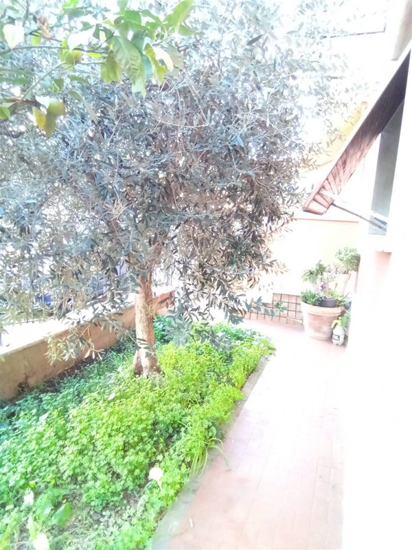 appartamento in vendita a Montecatini-Terme in zona Vico