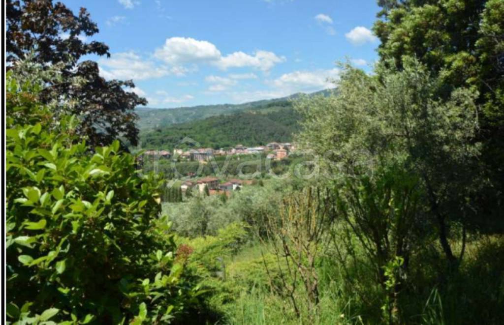 terreno agricolo in vendita a Montecatini-Terme