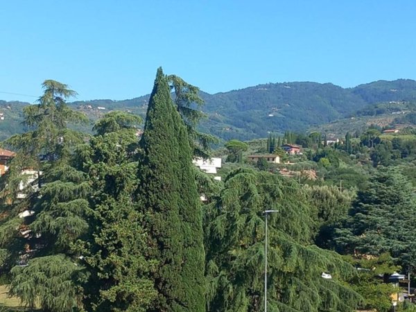 appartamento in vendita a Montecatini-Terme