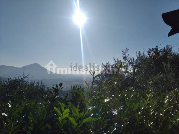 esavano in vendita a Montecatini-Terme