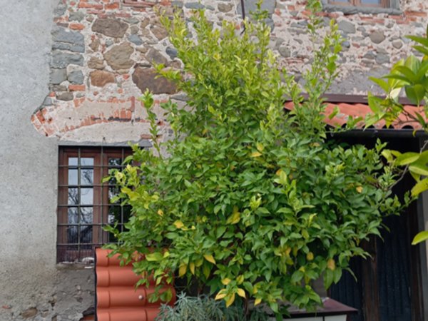 casa indipendente in vendita a Montecatini-Terme