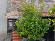 casa indipendente in vendita a Montecatini-Terme in zona Vico