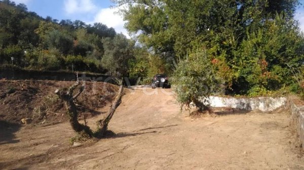 terreno agricolo in vendita a Montecatini-Terme in zona Montecatini Alto