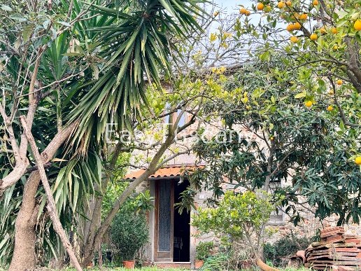 casa indipendente in vendita a Montecatini-Terme in zona Vico