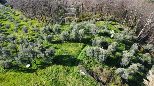 appartamento in vendita a Montecatini-Terme