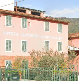 appartamento in vendita a Pescia in zona Castellare
