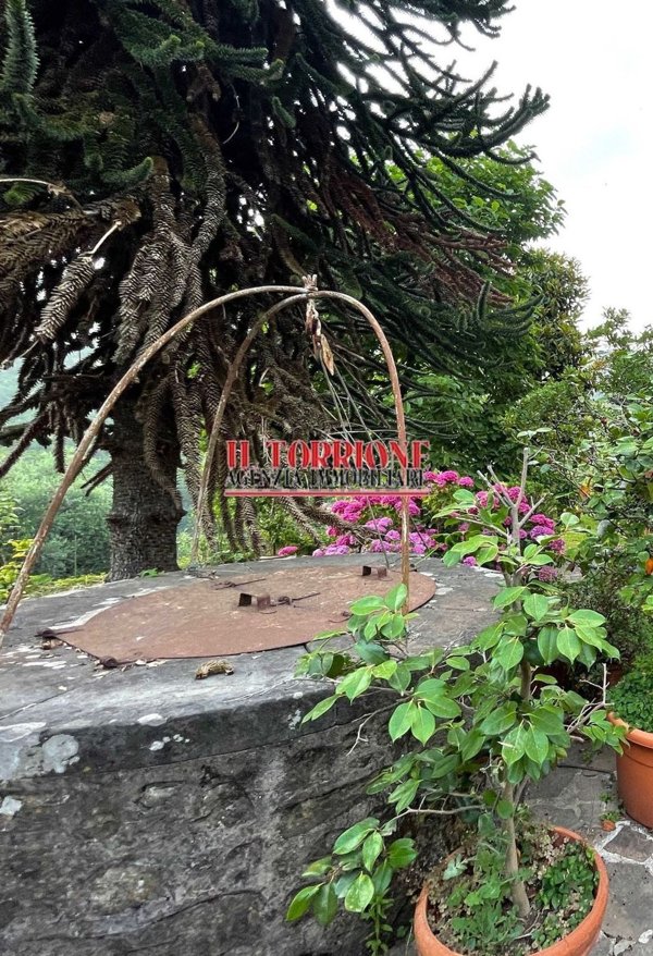 casa indipendente in vendita a Pescia