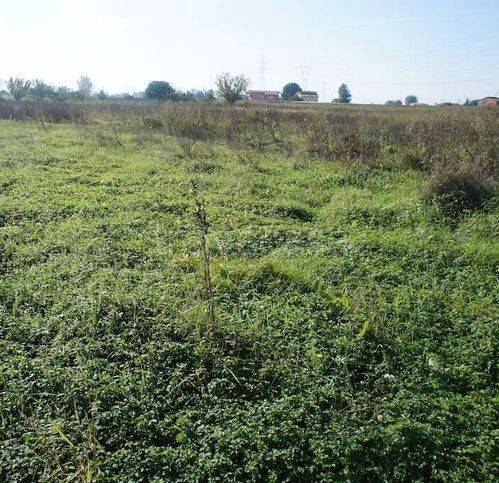 terreno agricolo in vendita a Pescia